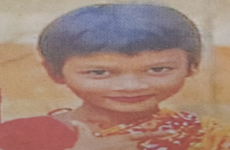 Malaria Outbreak in Potka: 12-Year-Old Girl Dies
