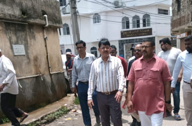 Additional Municipal Commissioner inspects government lands; issues directives to remove encroachments and prepare public utility development plans.