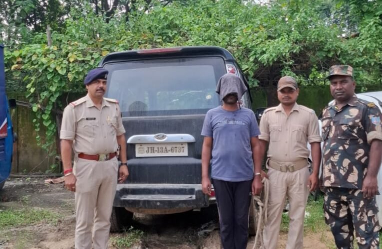 Organized gang of cattle thieves busted; one accused arrested, vehicle and livestock recovered.