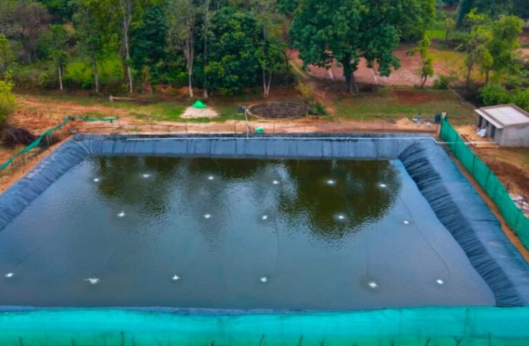 Biofloc fish farming becomes a means of self-reliance; farmers' incomes are rising.