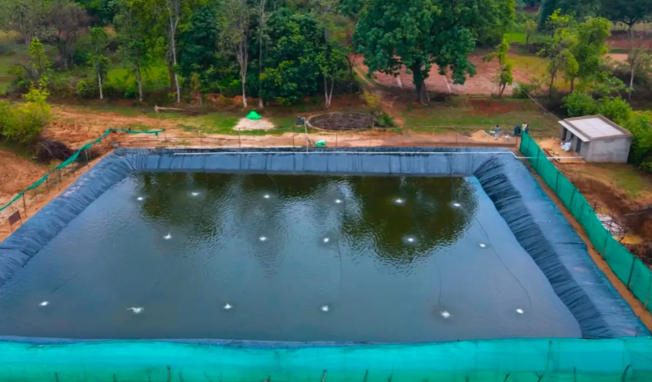 Biofloc fish farming becomes a means of self-reliance; farmers' incomes are rising.