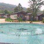 Dalma tourism set to soar to new heights,