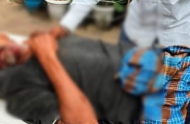 Wild elephant attacks in Ormanjhi; elderly person critically injured; panic grips the village.