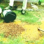 Police intensify drive against illicit liquor in Simdega; 359 kg of *Java Mahua* and 35 liters of *Mahua* liquor destroyed.
