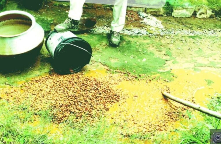 Police intensify drive against illicit liquor in Simdega; 359 kg of *Java Mahua* and 35 liters of *Mahua* liquor destroyed.