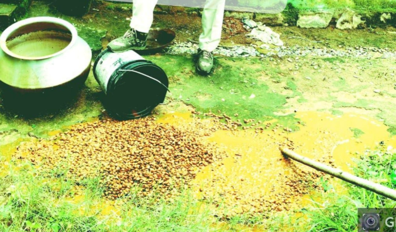 Police intensify drive against illicit liquor in Simdega; 359 kg of *Java Mahua* and 35 liters of *Mahua* liquor destroyed.