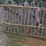 विधानसभा घेराव को लेकर रांची में कड़ी सुरक्षा, अरगोड़ा से विधानसभा तक तीन-स्तरीय बैरिकेडिंग Tight security in Ranchi for the Legislative Assembly gherao; three-tier barricading from Argora to the Assembly.