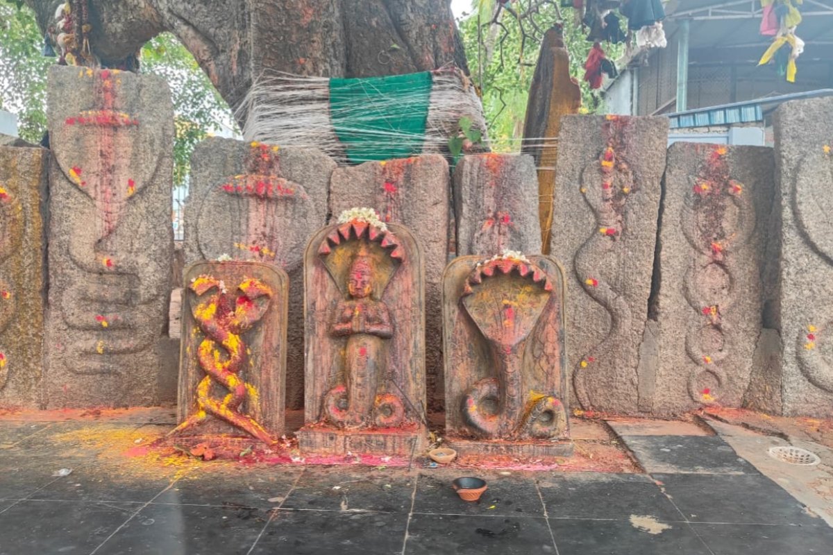 A grand Rudrabhishek, Havan, and Mahaprasad will be held at the Sarna Mandir Shivalaya on the third Sunday of Sawan.