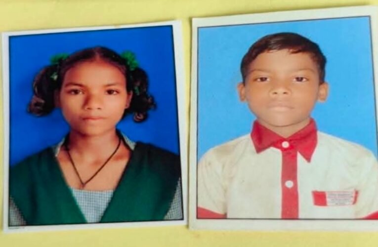 संतारी में जहरीले सांप के डसने से दो बच्चों की मौत