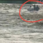 Three youths stranded in the strong currents of the Gerua River in Chatra.
