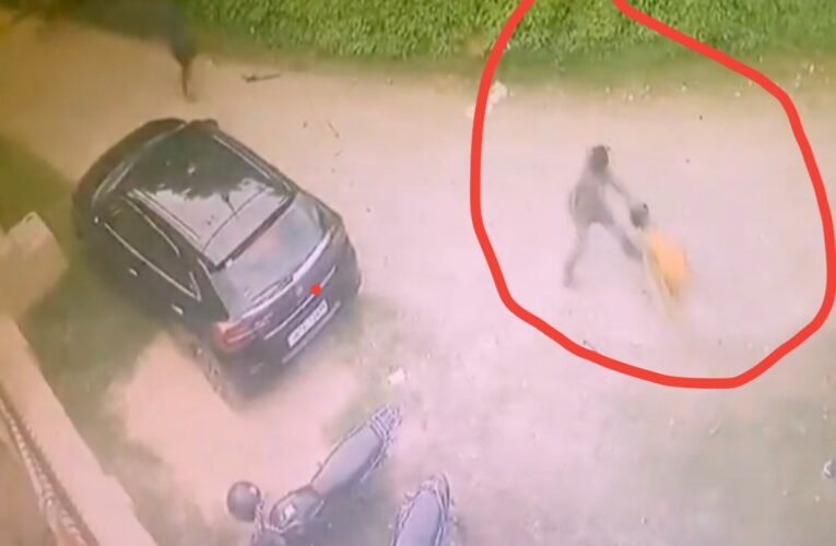 धनबाद में आवारा कुत्तों का आतंक: छह साल की बच्ची पर झुंड ने किया हमला, एक महीने में 175 लोगों के घायल होने का दावा