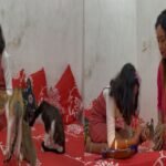 Strict laws enacted for the protection of the voiceless: Kayra