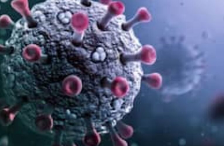 Alert issued regarding seasonal influenza in Jharkhand; isolation wards to be set up in hospitals.