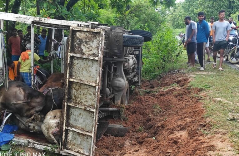 Pickup truck loaded with cattle overturns in Chatra; around 15 dead, 3-4 injured.