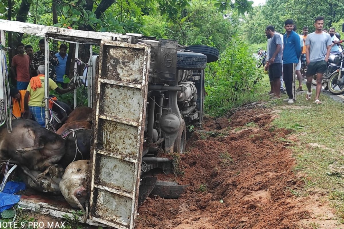 Pickup truck loaded with cattle overturns in Chatra; around 15 dead, 3-4 injured.