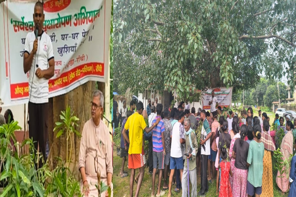 Distribution of 435 saplings by the Sarveshwari Group in Dubaliya village.