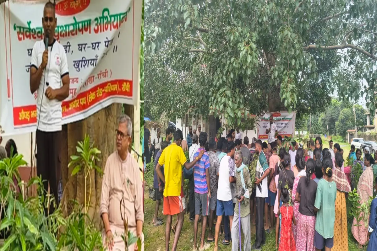 Distribution of 435 saplings by the Sarveshwari Group in Dubaliya village.