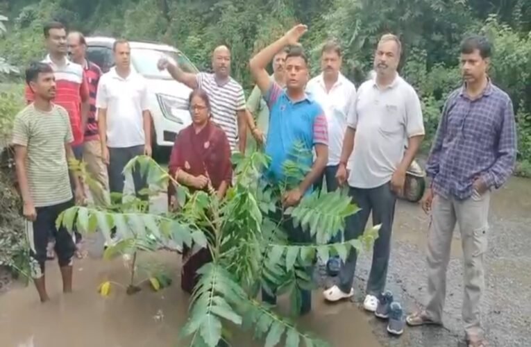 जमशेदपुर : गड्ढों में पौधे लगाकर ग्रामीणों ने पूछा- सड़क बनानी है या बागीचा? गोविंदपुर अन्ना चौक पर अनोखा विरोध