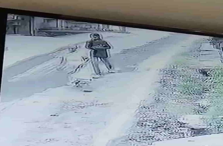 Unbridled chain snatcher in Jamshedpur
