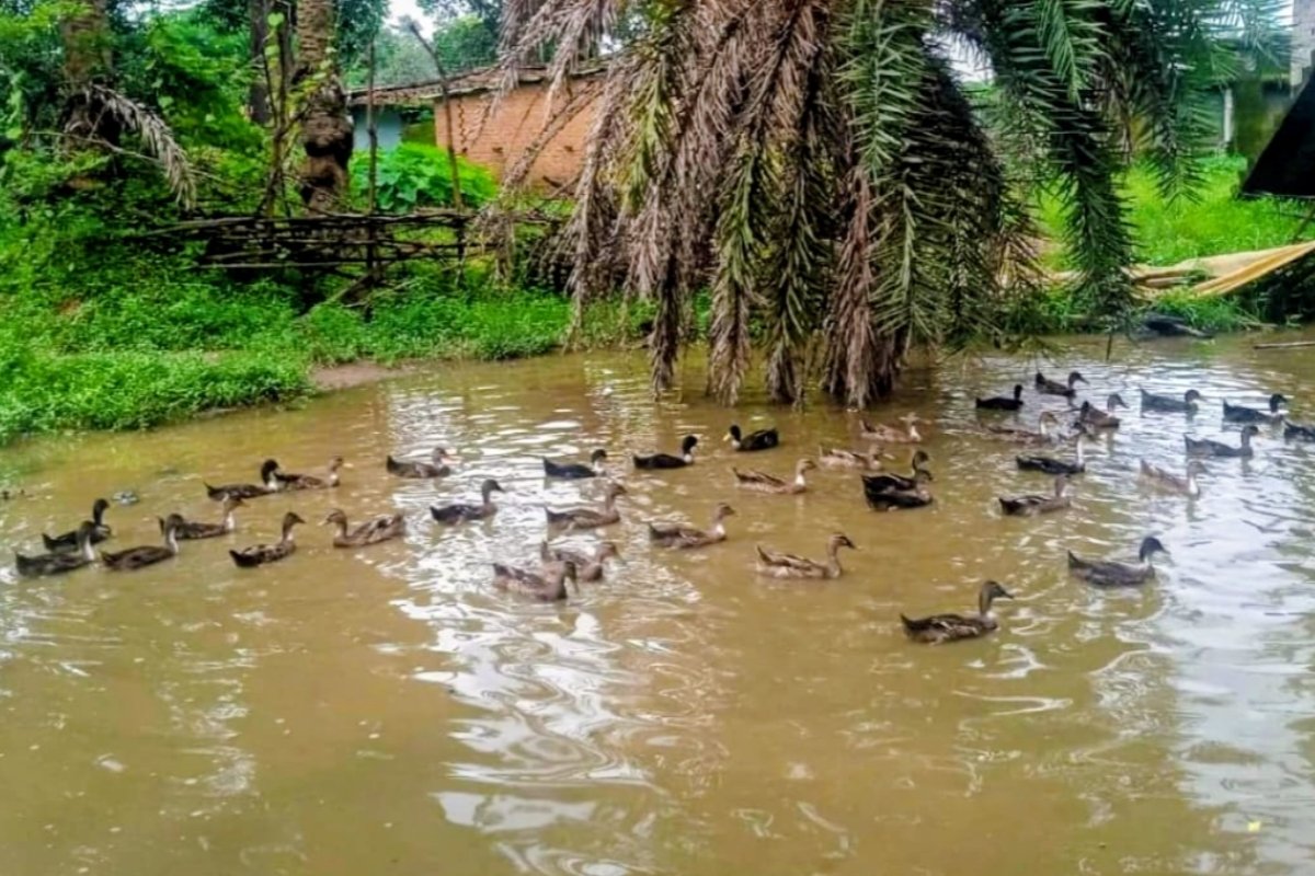 Turning hard work into a tool for change, a self-help group transformed Dayamani's life.