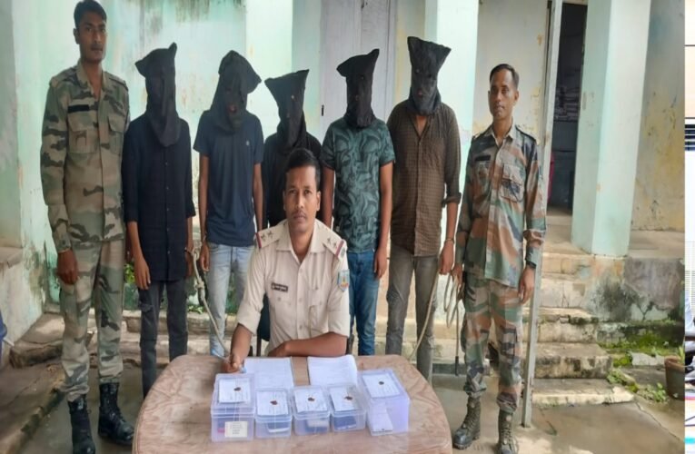 Major crackdown on cyber fraud in Deoghar; five arrested.