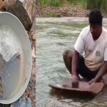 Tribal families search for gold in the sands of the Subarnarekha every day.