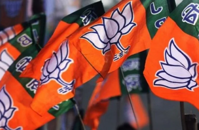 Sunny Toppo appointed State President of the BJP ST Morcha.