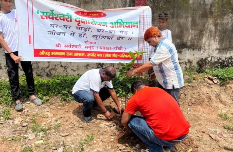 Distribution and planting of 253 saplings in the sixth phase of the Sarveshwari Tree Plantation Campaign.