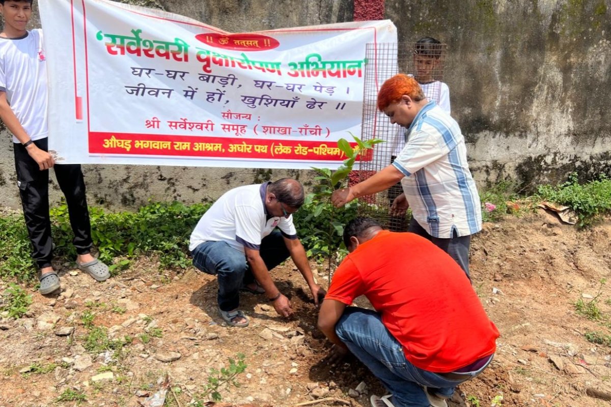Distribution and planting of 253 saplings in the sixth phase of the Sarveshwari Tree Plantation Campaign.