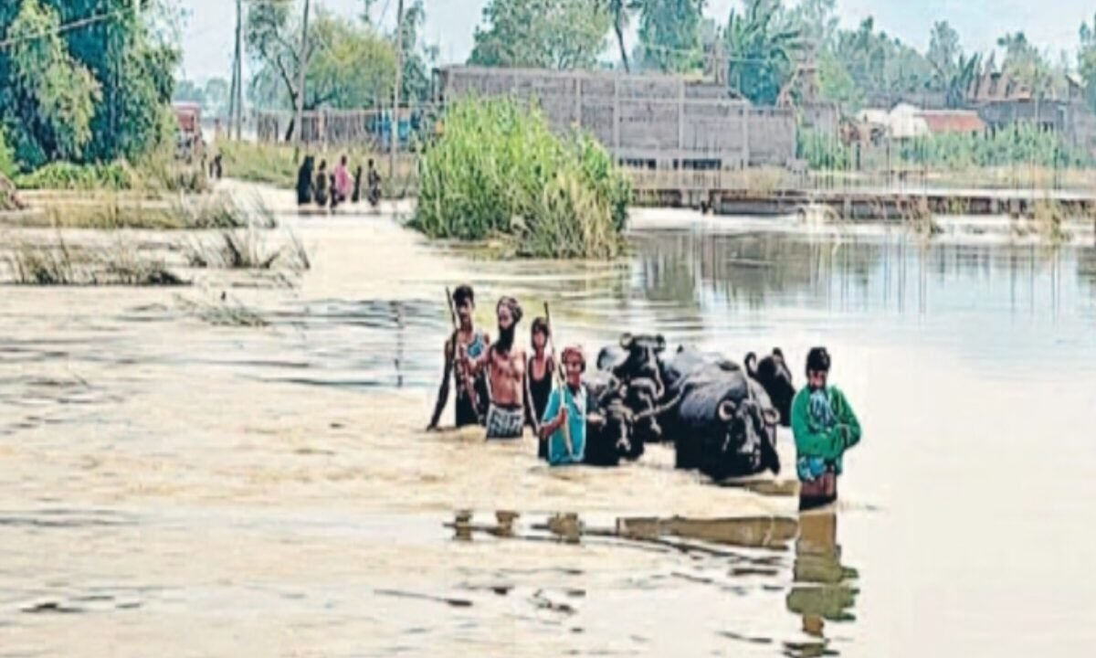 In Sahibganj, the Ganga is flowing 1.22 meters above the danger mark.