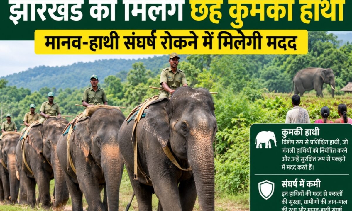 Jharkhand to get six 'kumki' elephants; will help curb human-elephant conflict.