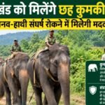Jharkhand to get six 'kumki' elephants; will help curb human-elephant conflict.