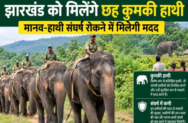 Jharkhand to get six 'kumki' elephants; will help curb human-elephant conflict.