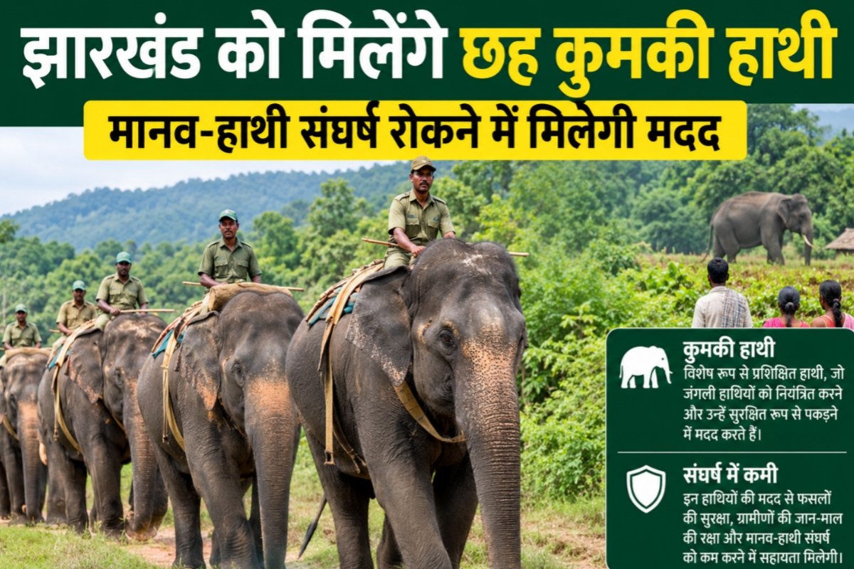 Jharkhand to get six 'kumki' elephants; will help curb human-elephant conflict.