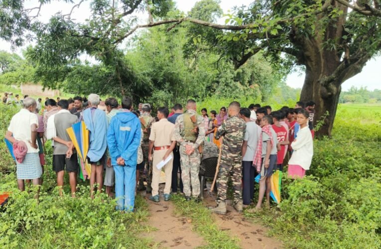 Wild elephant tramples elderly man to death in Bharno; panic grips village.
