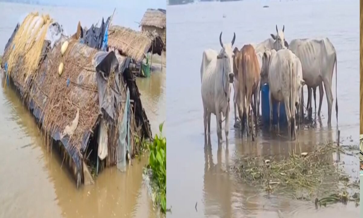 Sahibganj flood
