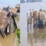 Sahibganj flood