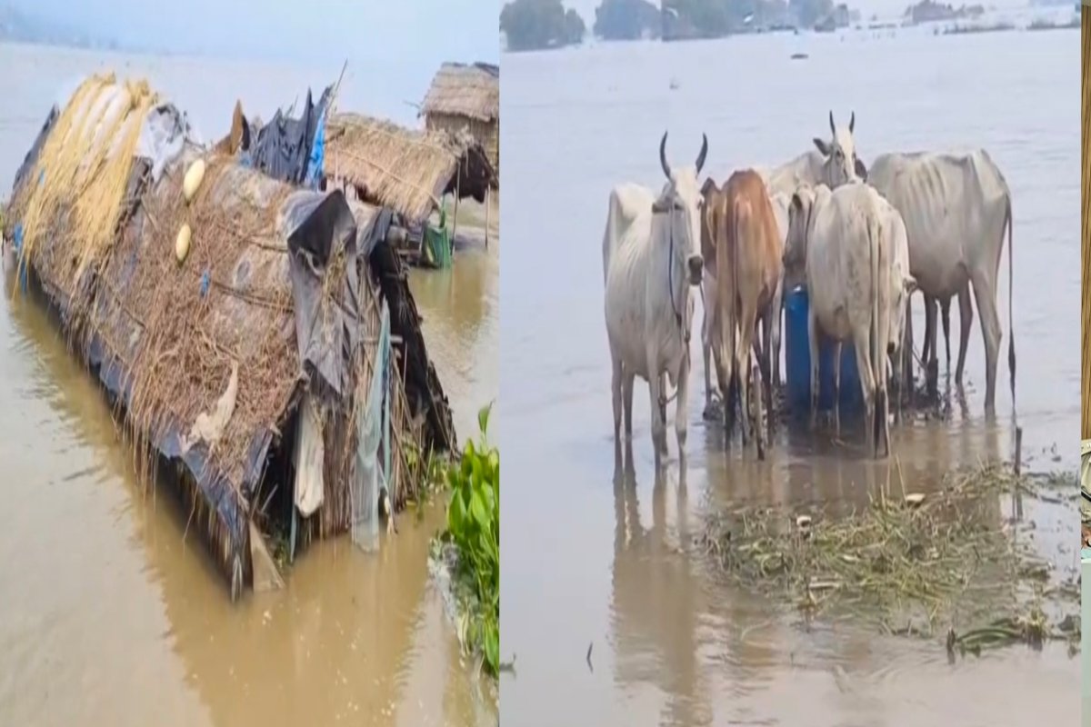 Sahibganj flood