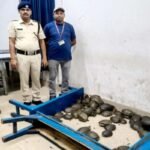 78 turtles recovered from the general coach of the Doon Express.