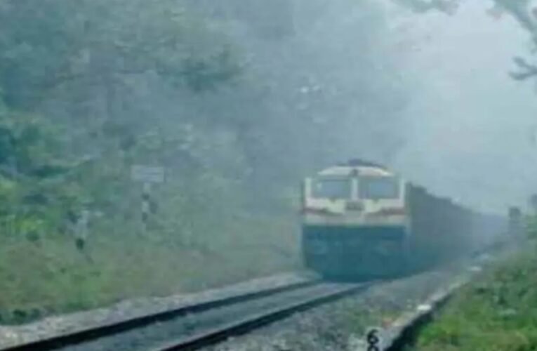 Railway line route to be changed for wildlife protection in Palamu Tiger Reserve.