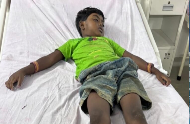 A six-year-old girl sleeping on a cot with her mother was bitten by a snake.