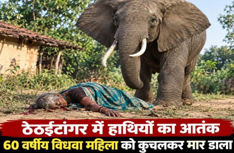 Elephant terror in Thethaitangar; 60-year-old widow trampled to death.