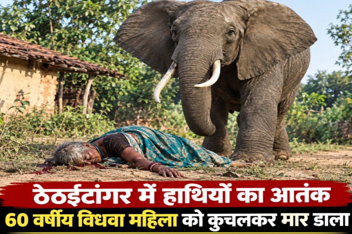 Elephant terror in Thethaitangar; 60-year-old widow trampled to death.