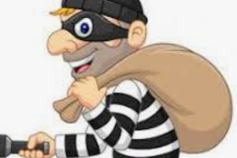 पंचायत सचिव के घर लाखों के जेवरात और नकदी की चोरी, परिवार के साथ मेला घूमने गया था पीड़ित