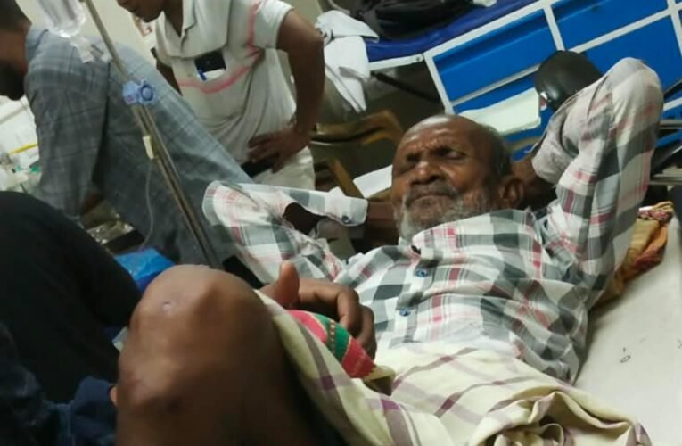 सरायकेला में भालू का हमला, 80 वर्षीय ग्रामीण गंभीर, पैर की हड्डी टूटी