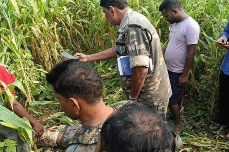 शराब पीने के दौरान विवाद, ससुर ने कुल्हाड़ी से दामाद की हत्या, मकई के खेत में मिला शव