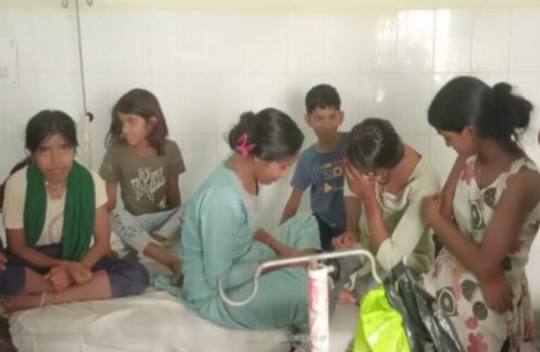 करम डाली विसर्जन के दौरान भौंरों का हमला, बच्चों समेत दर्जनों ग्रामीण घायल