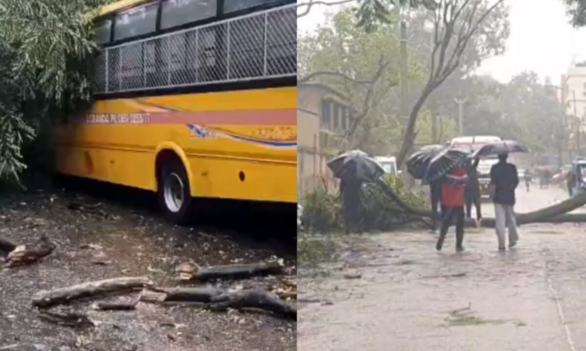 rainfall-impact-ranchi-tree-falls-school