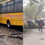 rainfall-impact-ranchi-tree-falls-school