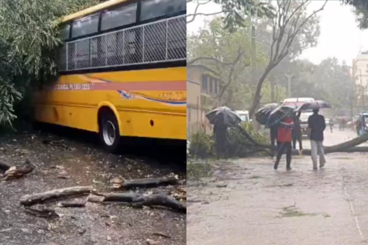 rainfall-impact-ranchi-tree-falls-school